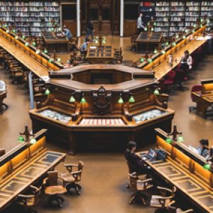 School logo of Noida Public School